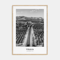 Visalia Portrait B&W Poster