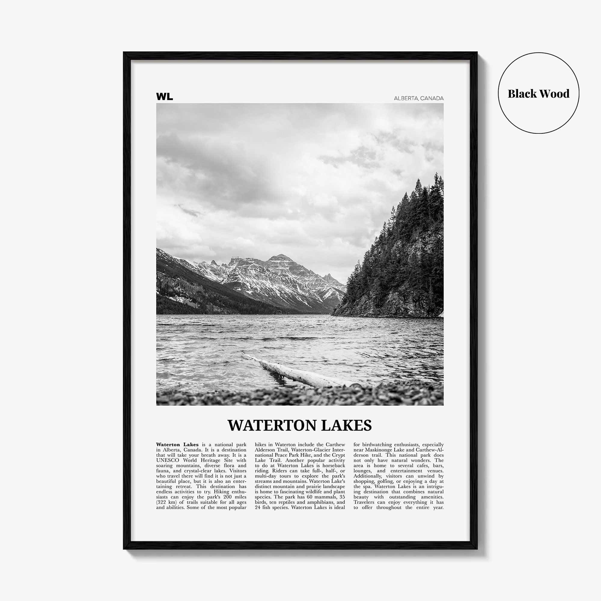 Waterton Lakes National Park Print Black and White, Waterton Lakes Wall Art, Waterton Lakes Poster, Waterton Lakes Photo, Canada