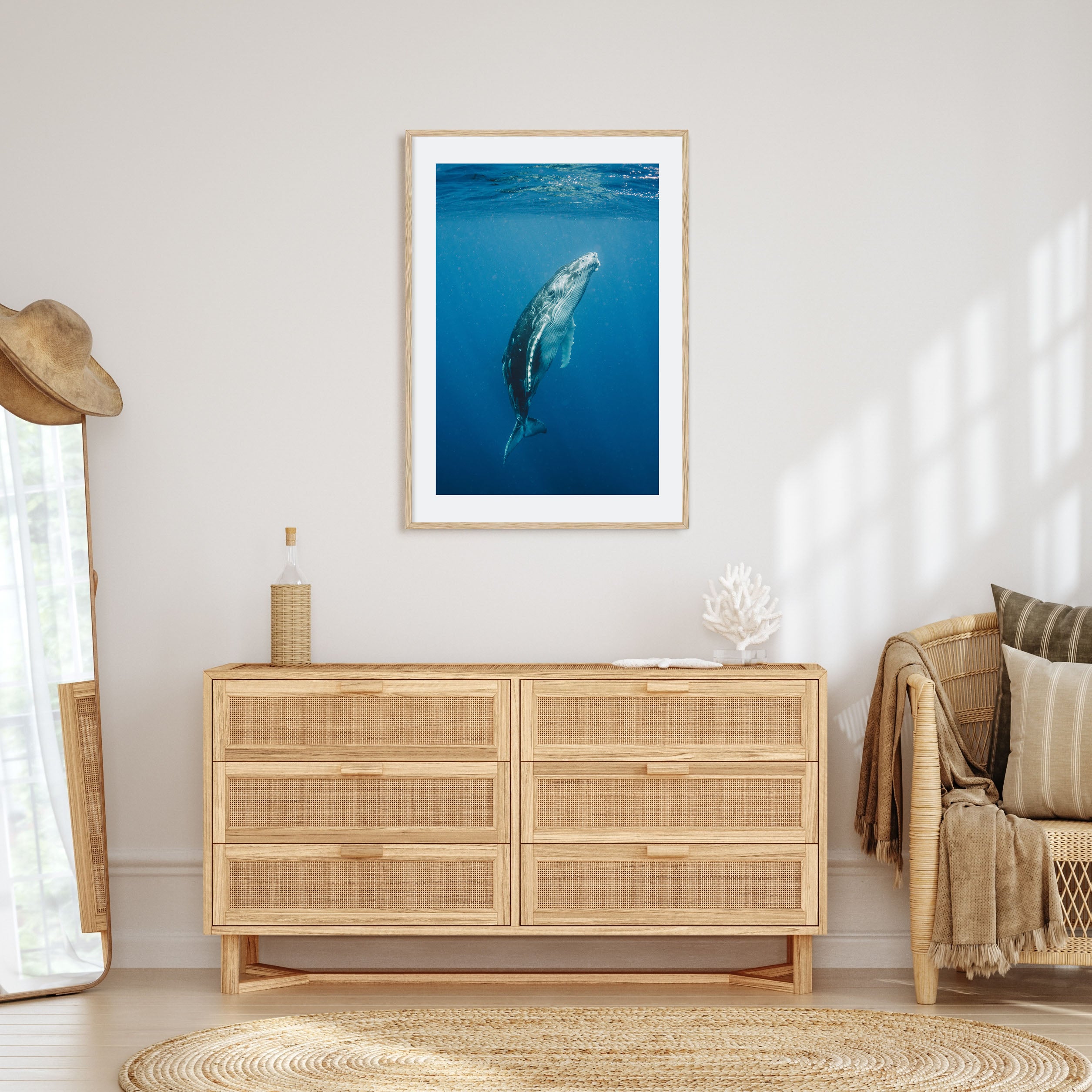 Whale Photo Color No 2 Poster