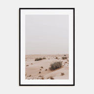 Wild Desert Photo Color Poster