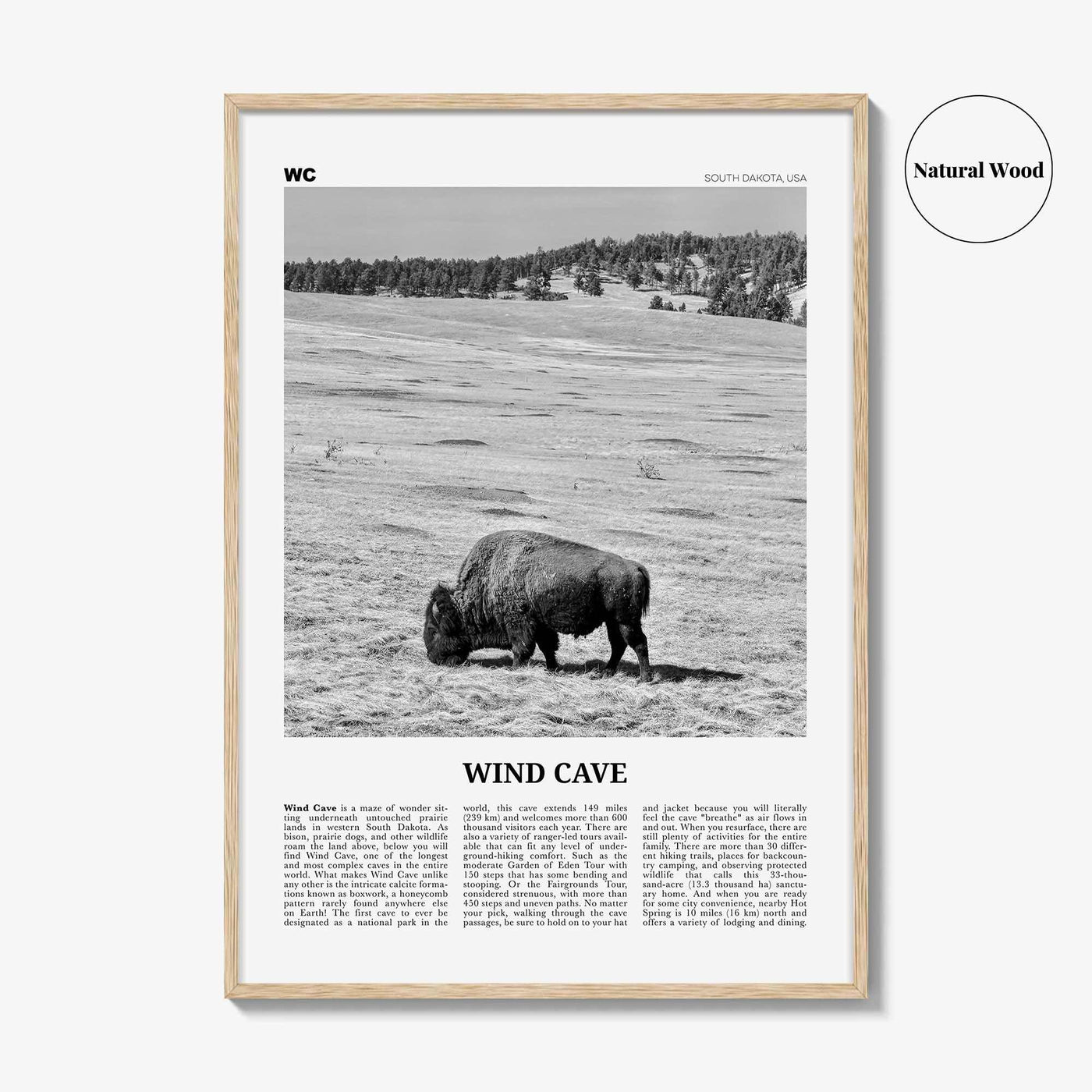 Wind Cave National Park Print Black and White, Wind Cave Wall Art, Wind Cave Poster, Wind Cave Photo, South Dakota , USA, United States