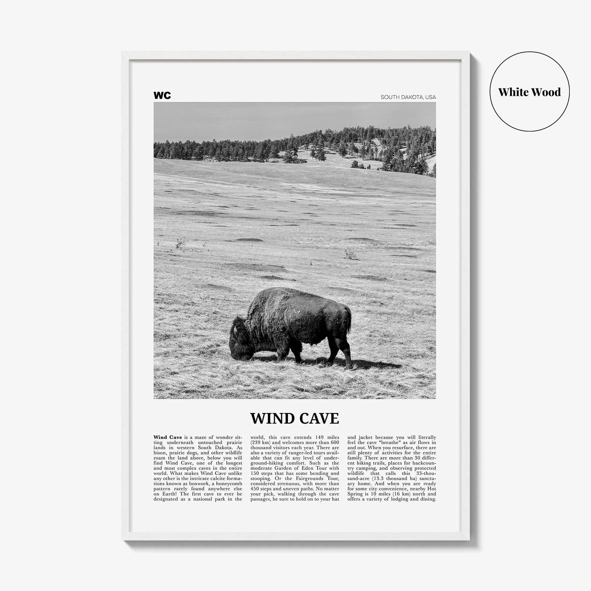 Wind Cave National Park Print Black and White, Wind Cave Wall Art, Wind Cave Poster, Wind Cave Photo, South Dakota , USA, United States