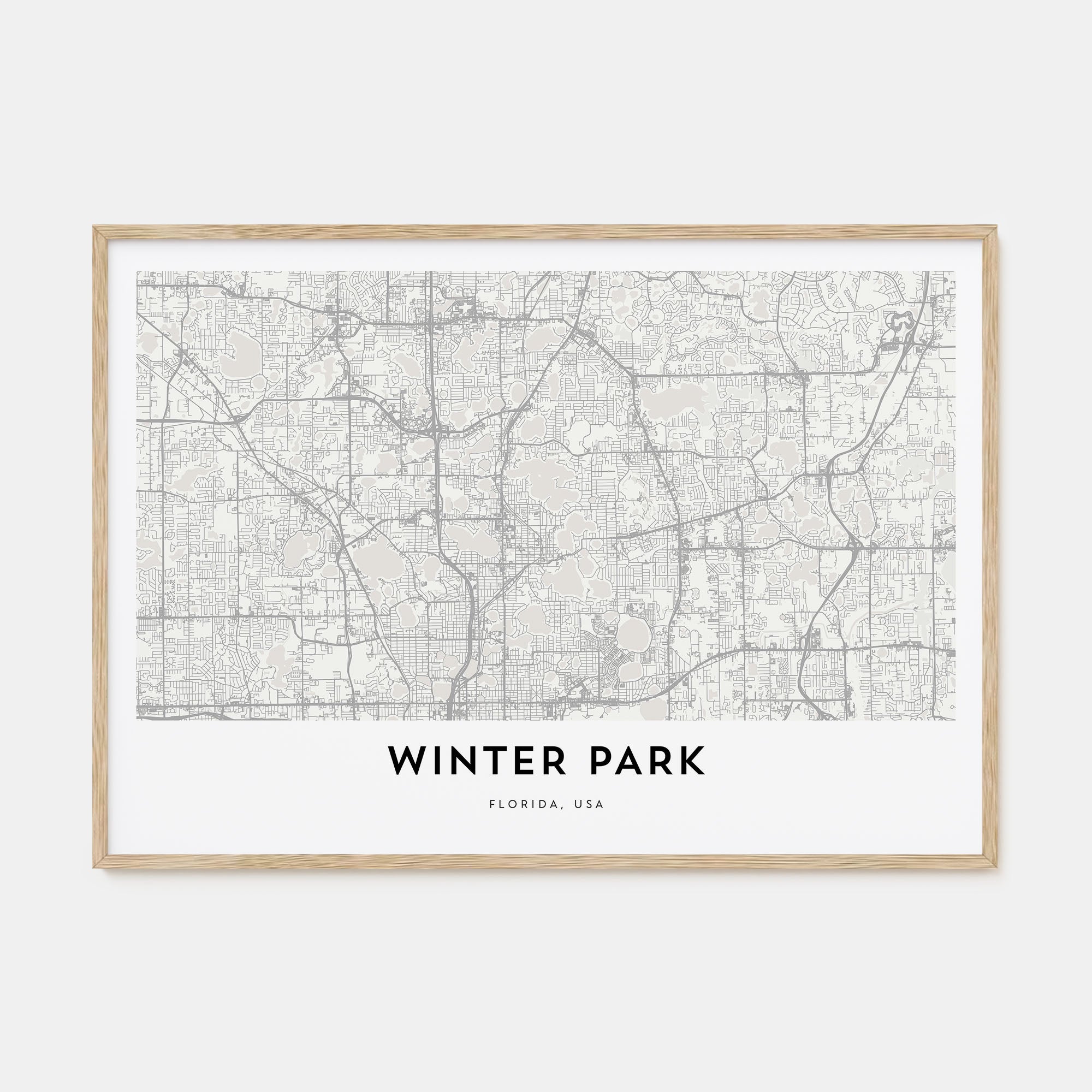 Winter Park Map Landscape Poster
