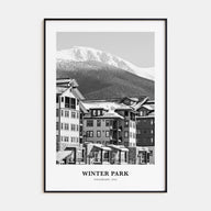 Winter Park Portrait B&W Poster