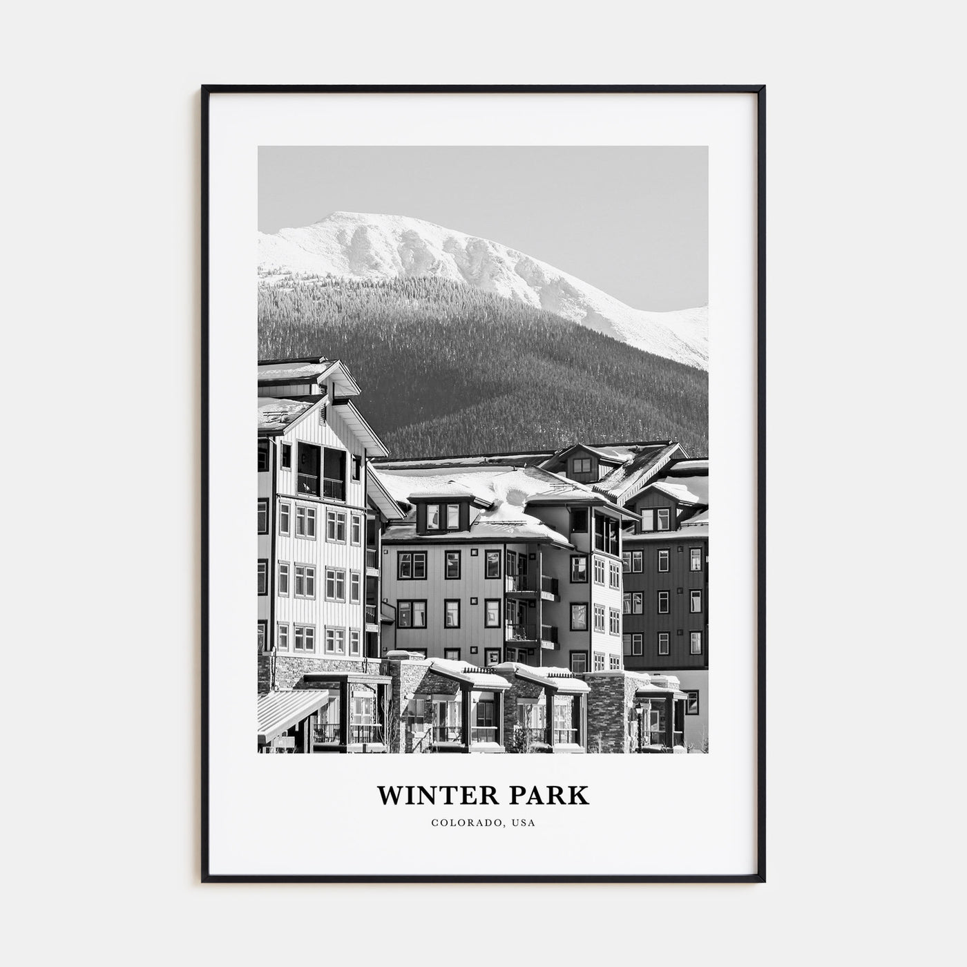Winter Park Portrait B&W Poster