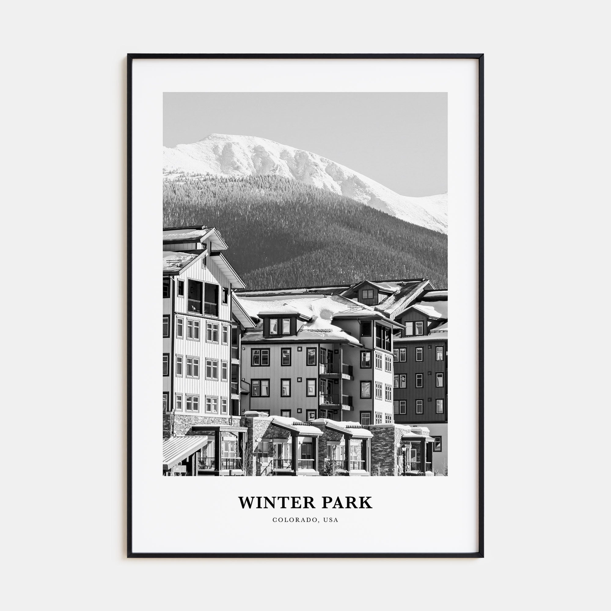 Winter Park Portrait B&W Poster
