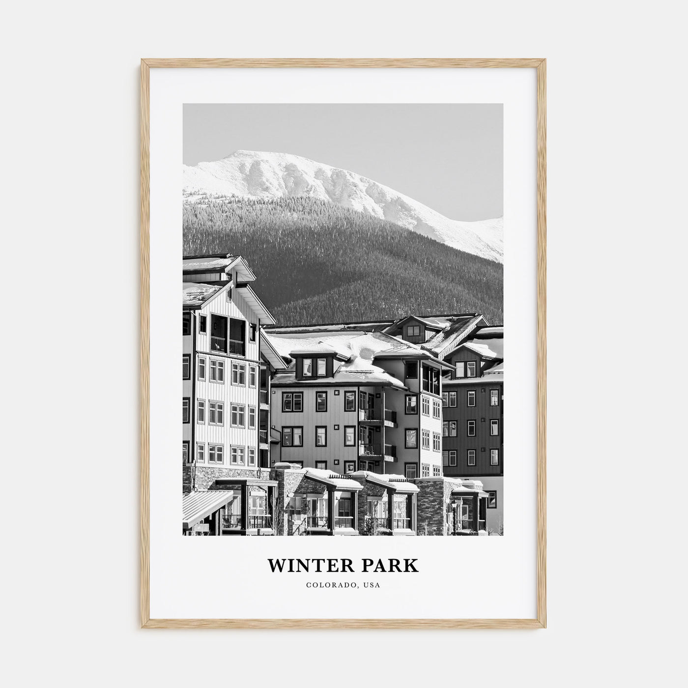 Winter Park Portrait B&W Poster