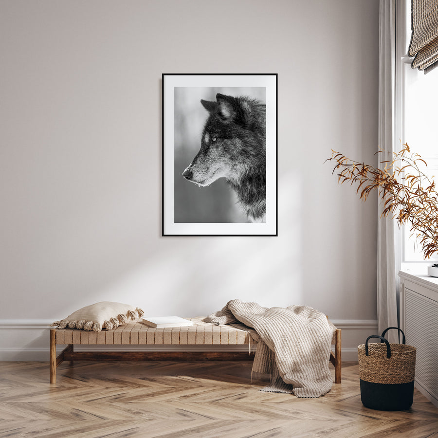 Wolf Photo B&W No 1 Poster