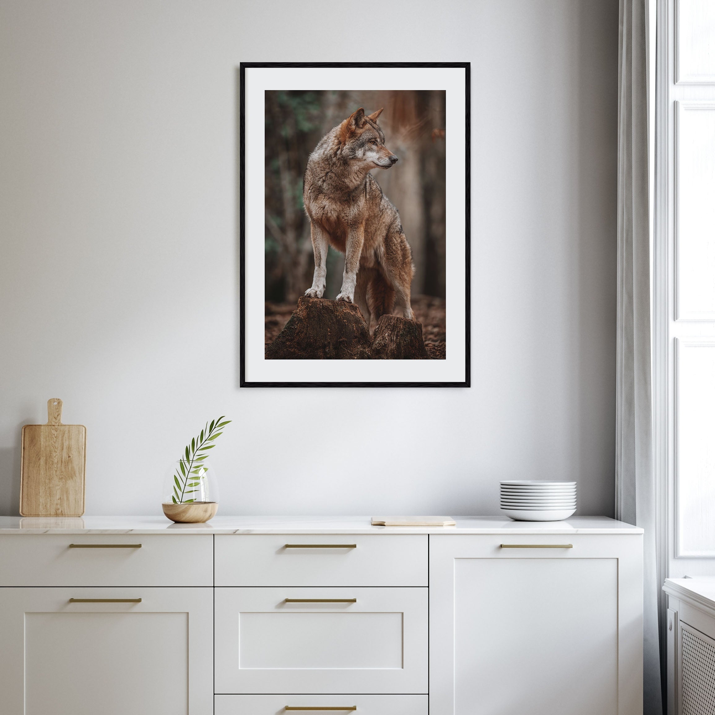 Wolf Photo Color No 1 Poster