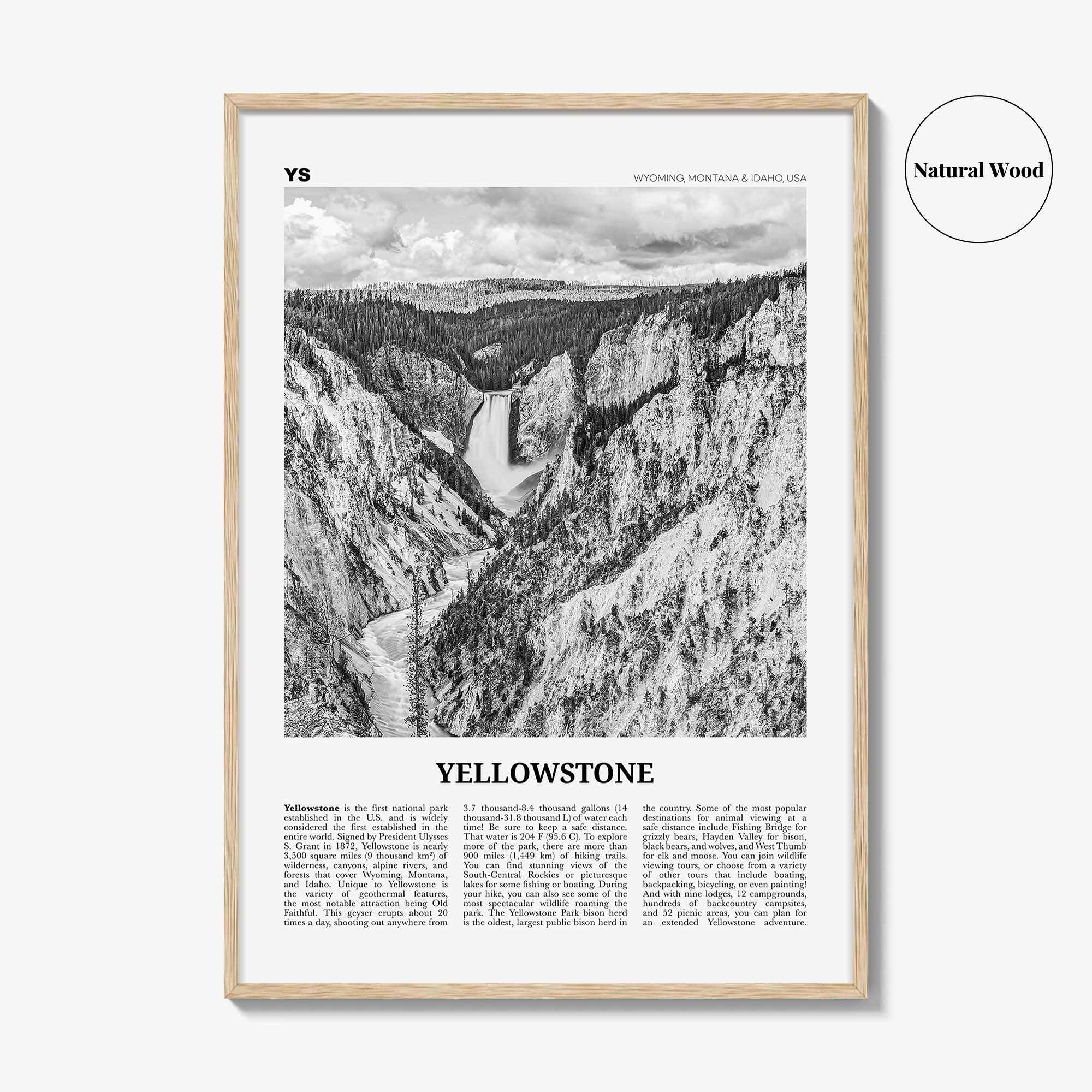 Yellowstone National Park Print Black and White, Yellowstone Wall Art, Yellowstone Poster, Yellowstone Photo, Wyoming, Montana, Idaho, USA