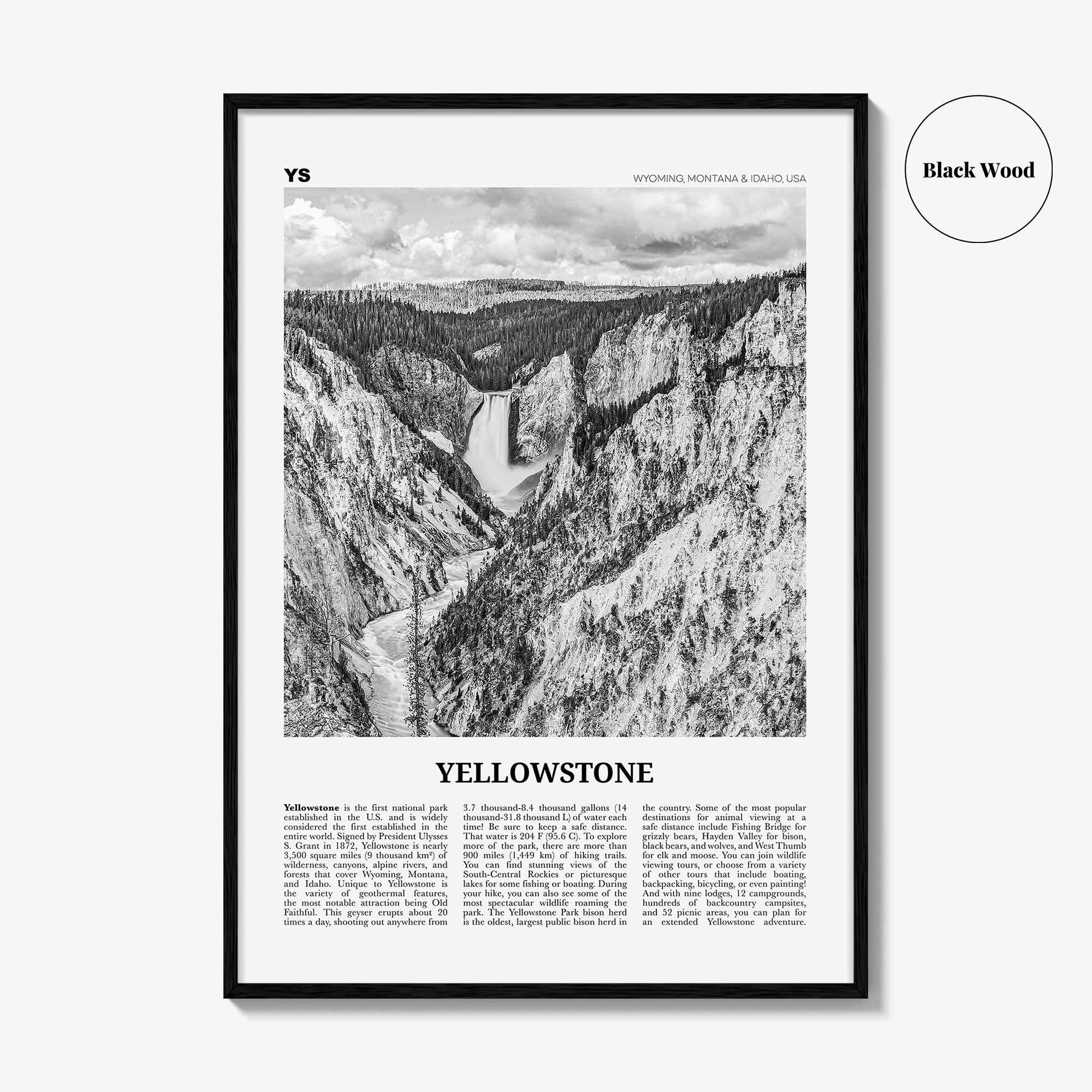 Yellowstone National Park Print Black and White, Yellowstone Wall Art, Yellowstone Poster, Yellowstone Photo, Wyoming, Montana, Idaho, USA