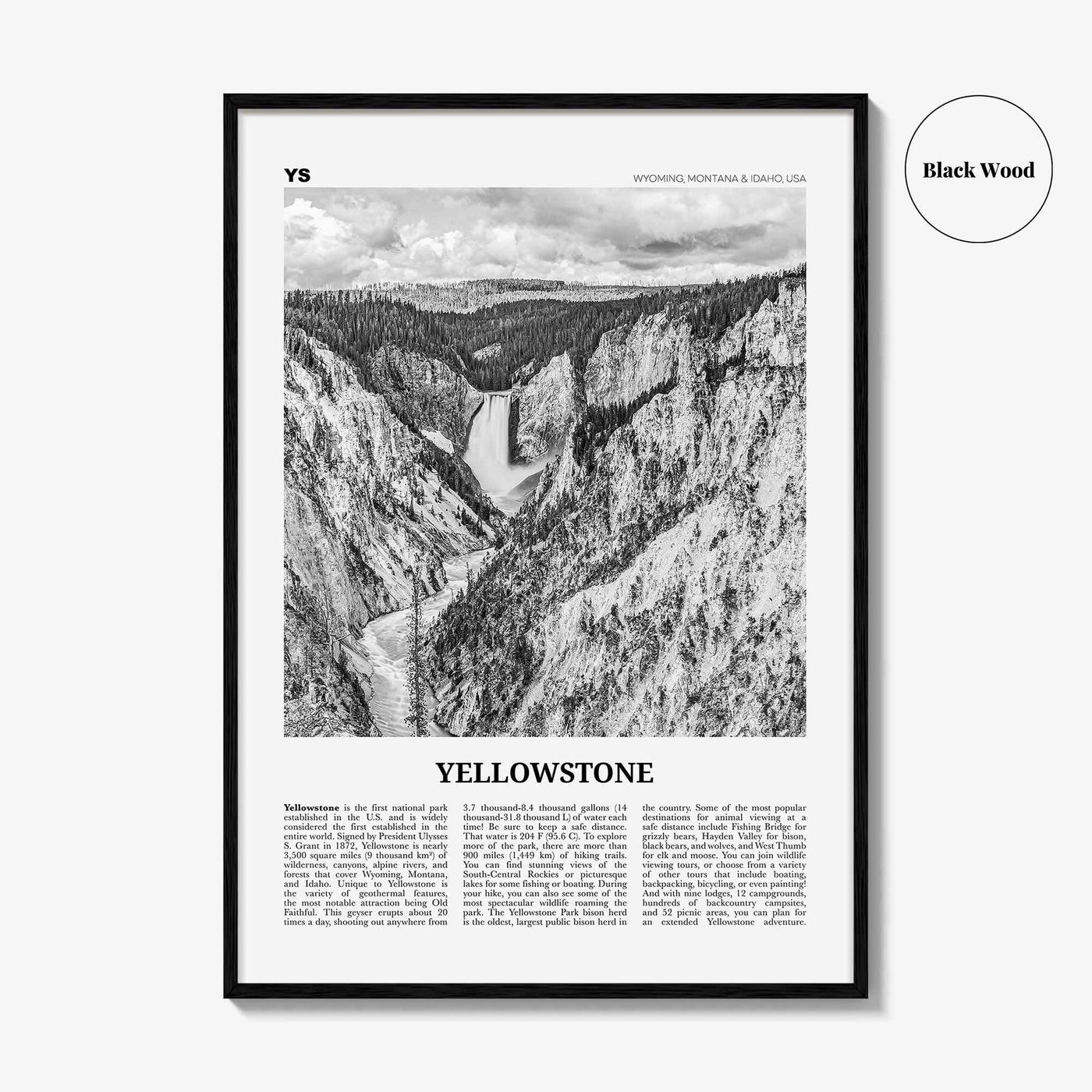 Yellowstone National Park Print Black and White, Yellowstone Wall Art, Yellowstone Poster, Yellowstone Photo, Wyoming, Montana, Idaho, USA