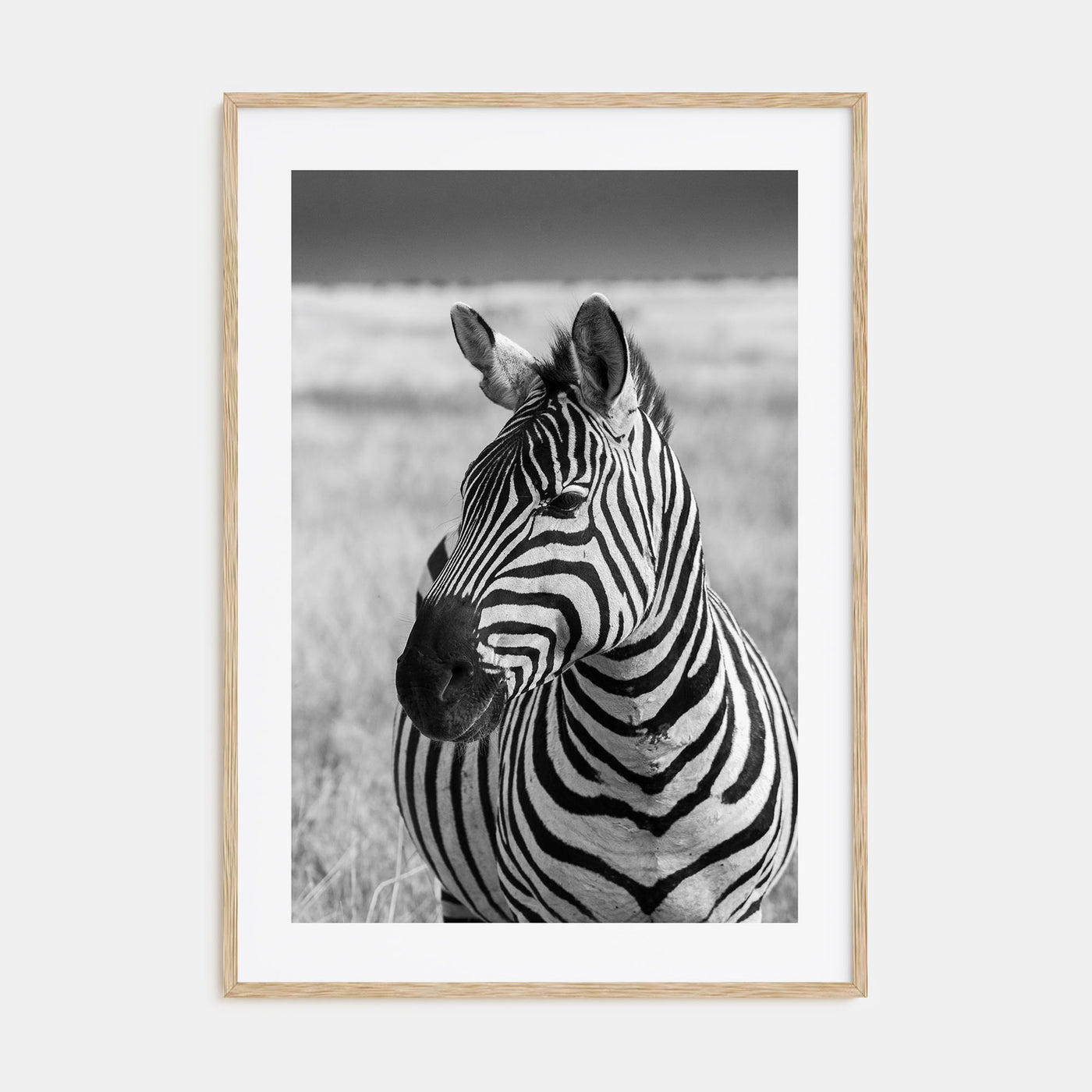 Zebra Photo B&W No 1 Poster