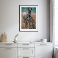 Zebra Photo Color No 1 Poster