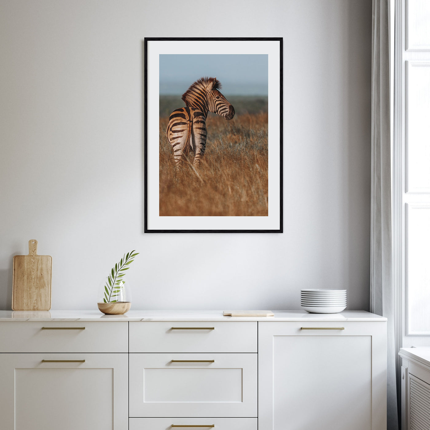 Zebra Photo Color No 2 Poster