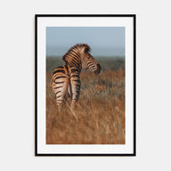 Zebra Photo Color No 2 Poster