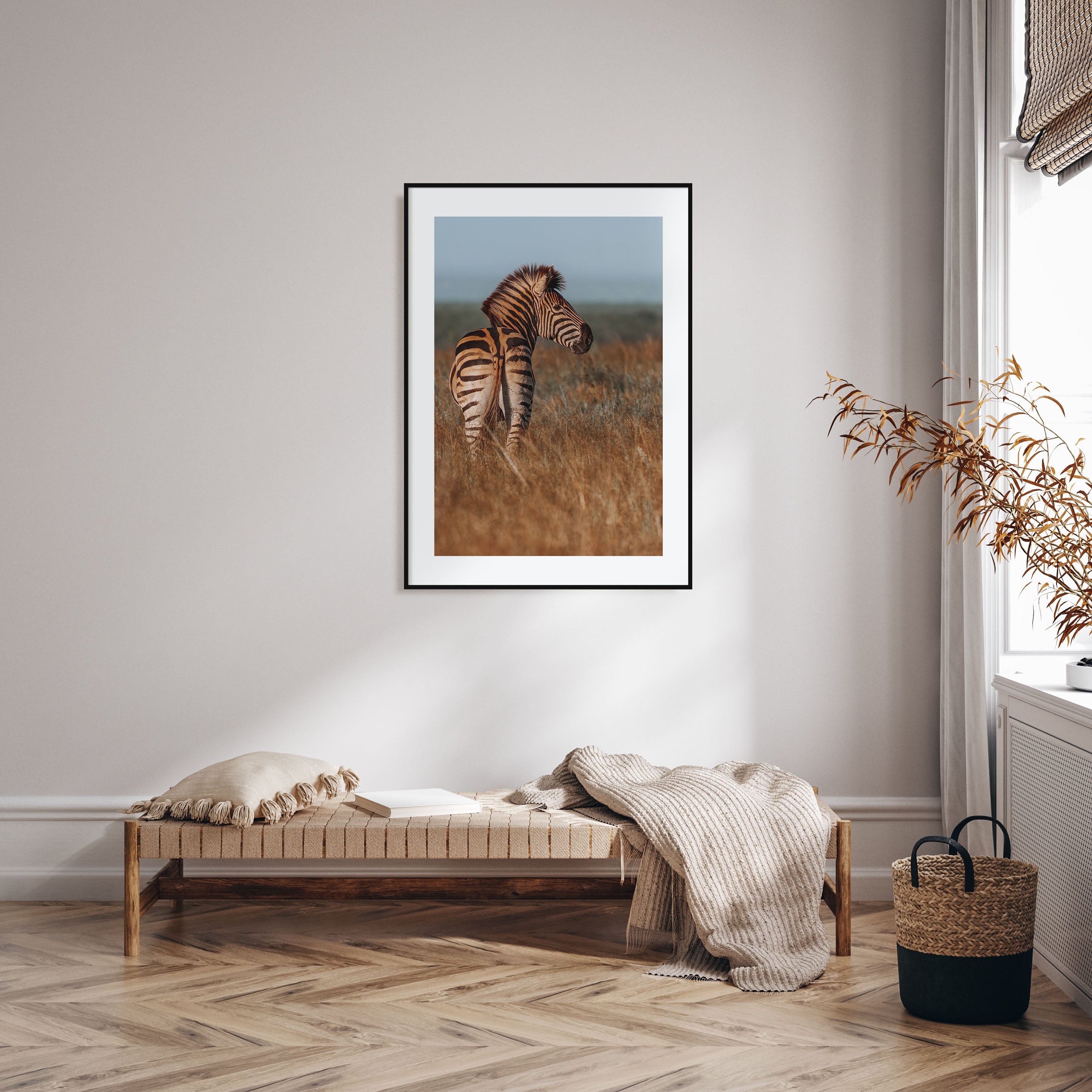 Zebra Photo Color No 2 Poster