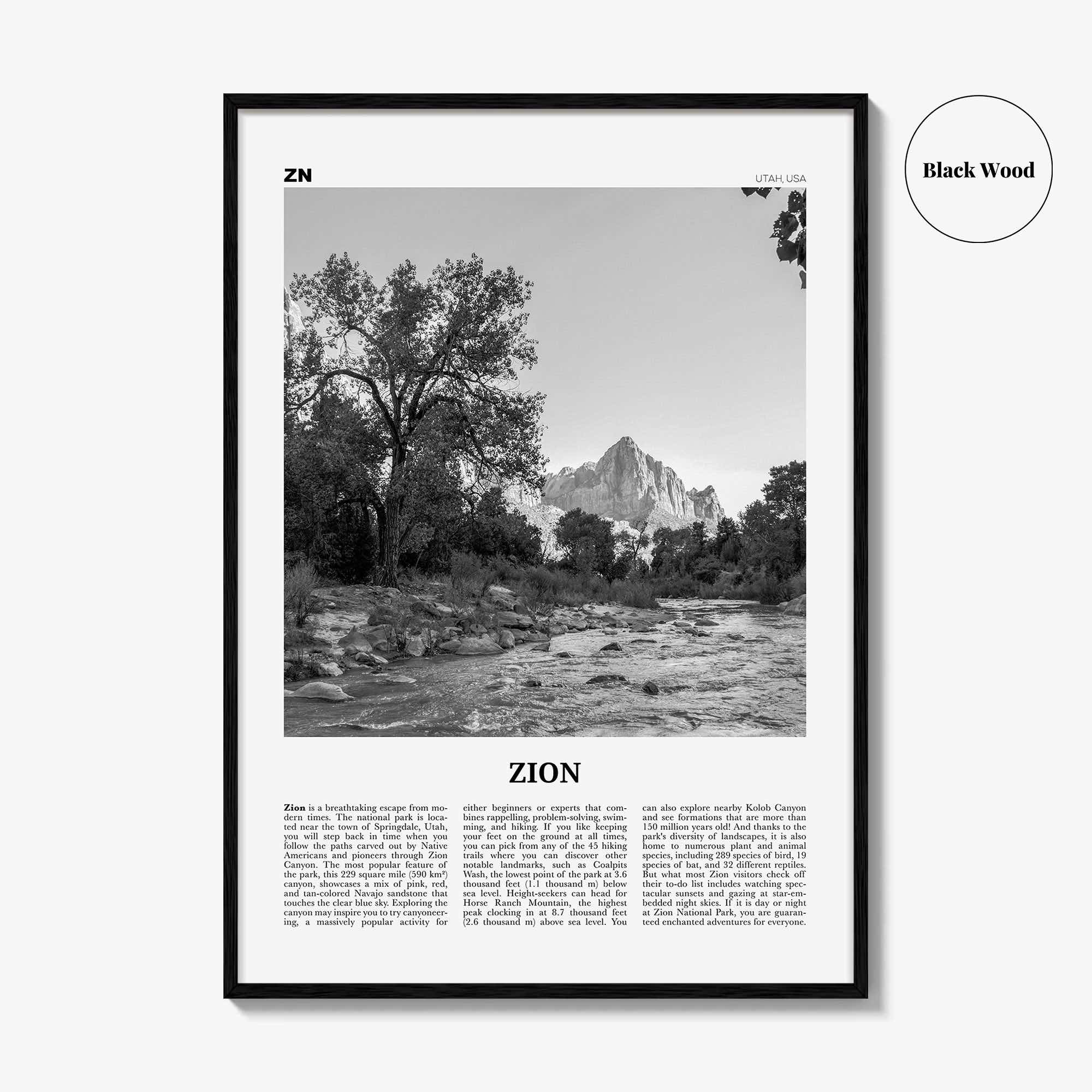 Zion National Park Print Black and White, Zion Wall Art, Zion Poster, Zion Photo, Utah, USA, United States, North America