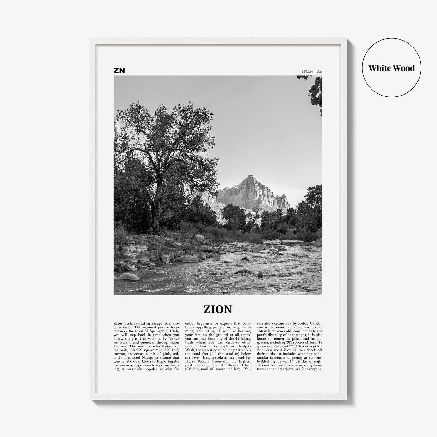 Zion National Park Print Black and White, Zion Wall Art, Zion Poster, Zion Photo, Utah, USA, United States, North America