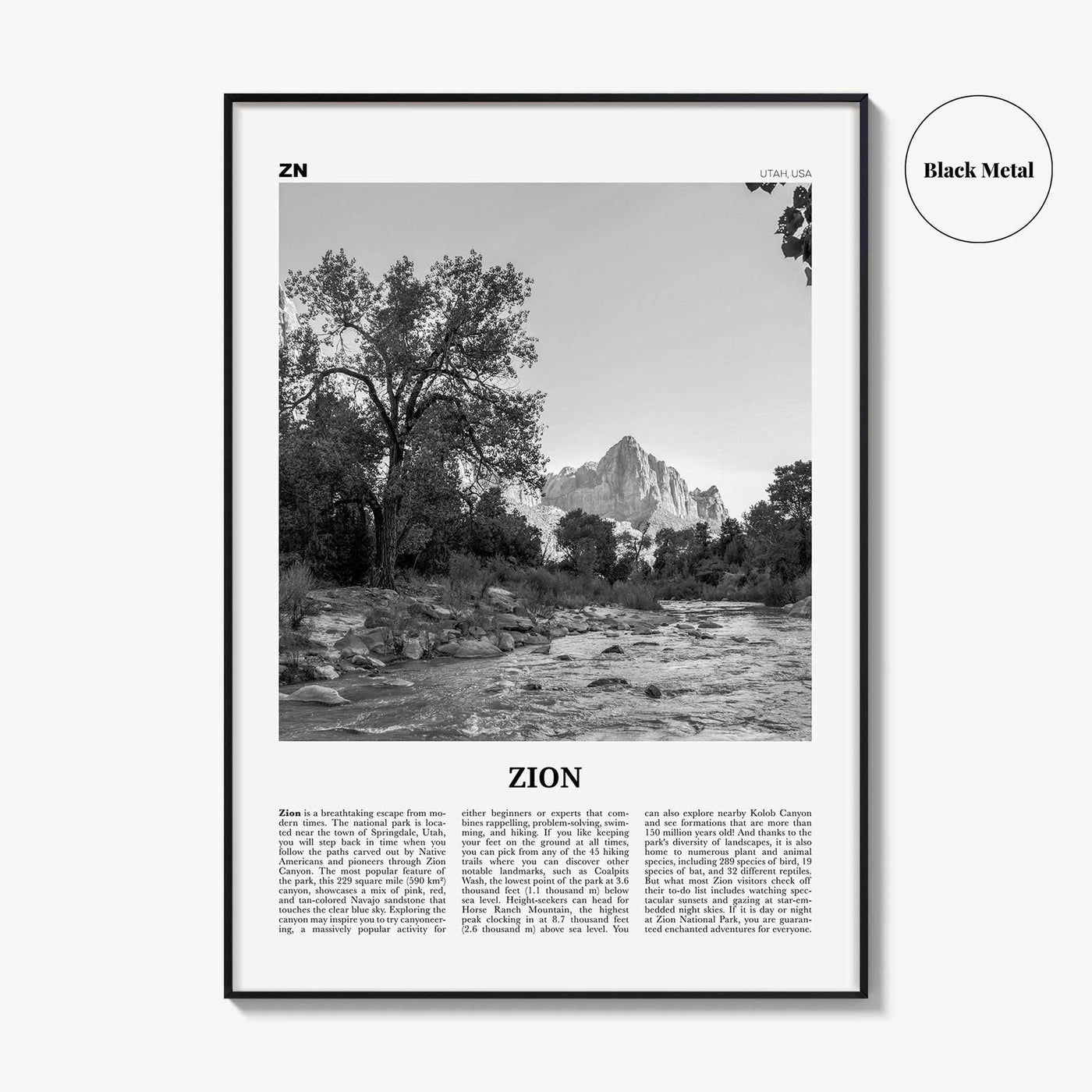 Zion National Park Print Black and White, Zion Wall Art, Zion Poster, Zion Photo, Utah, USA, United States, North America