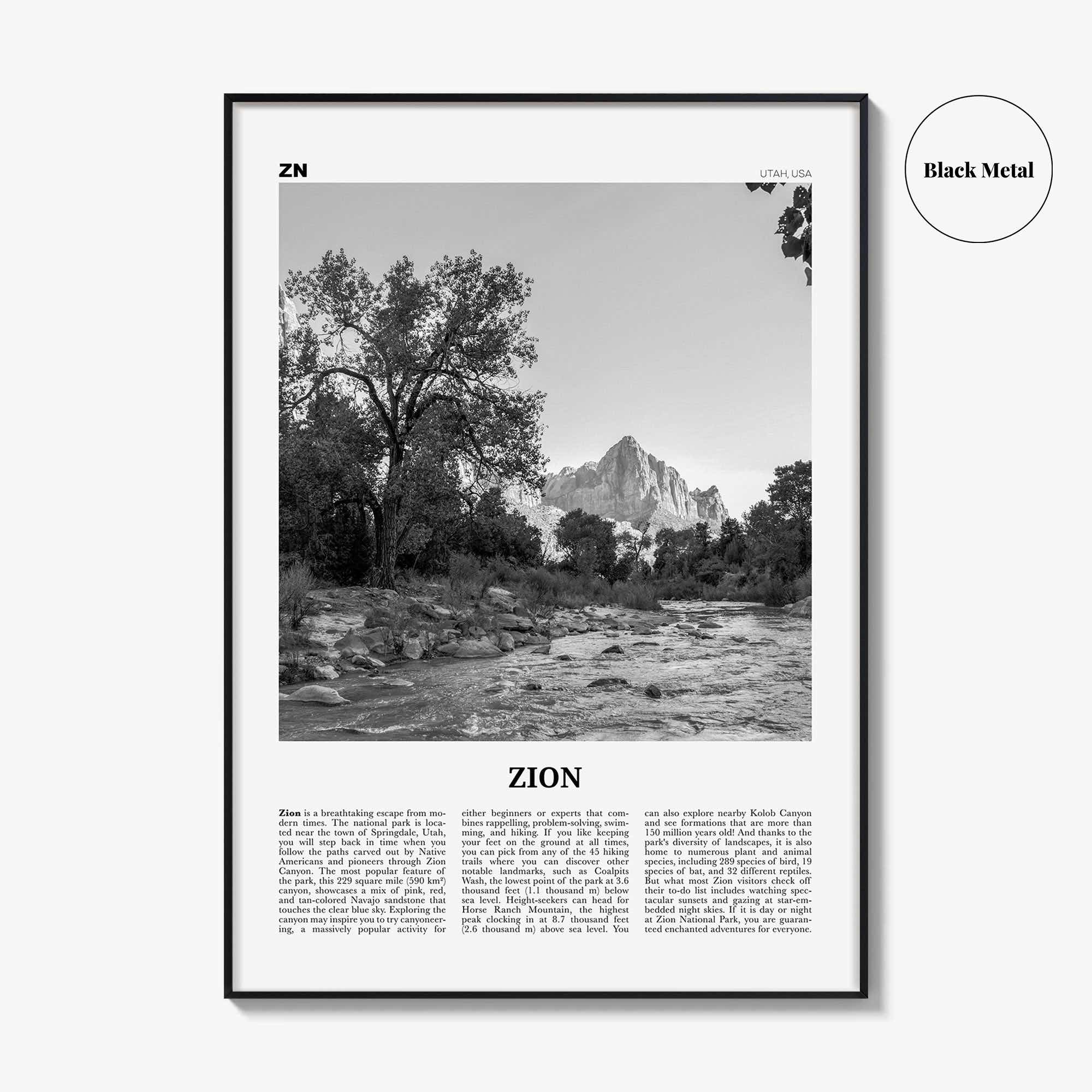 Zion National Park Print Black and White, Zion Wall Art, Zion Poster, Zion Photo, Utah, USA, United States, North America