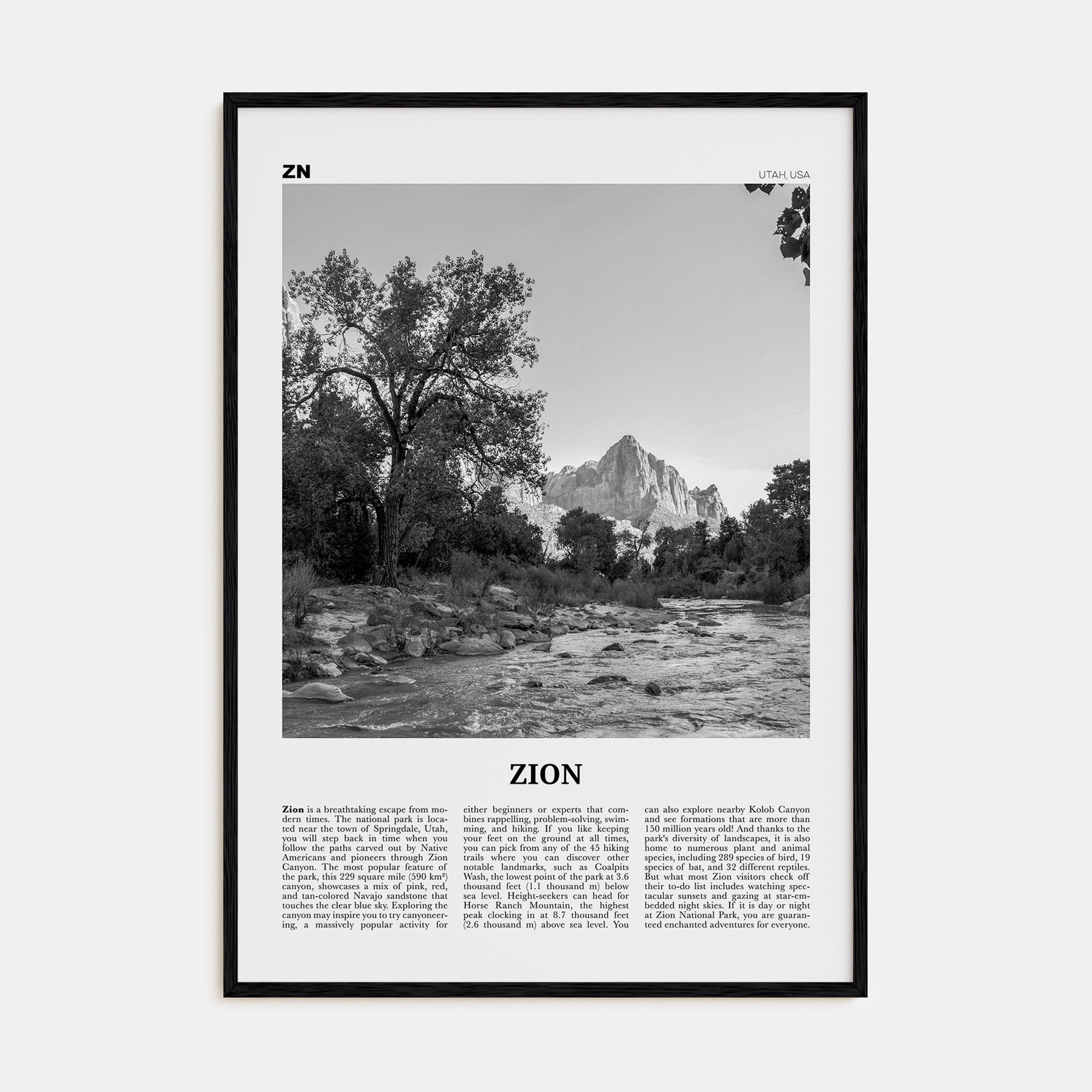 Zion National Park Travel B&W Poster