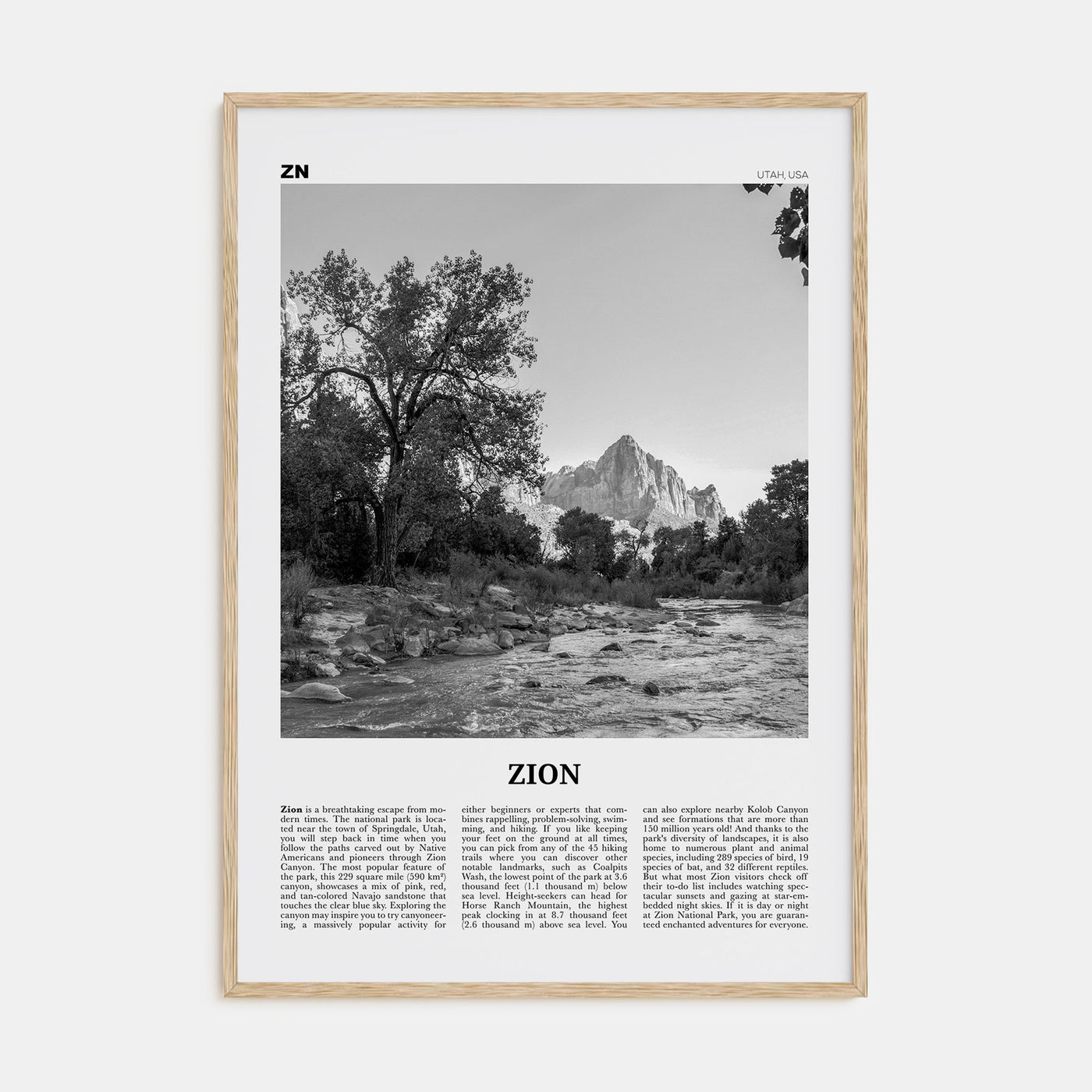 Zion National Park Travel B&W Poster