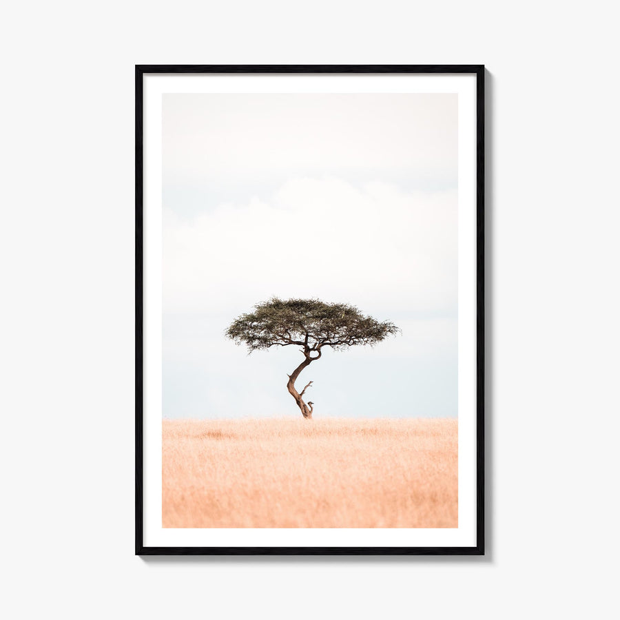 Acacia Tree no. 1 colorful photo poster – vertical wall art, unframed print shown in interior mockup