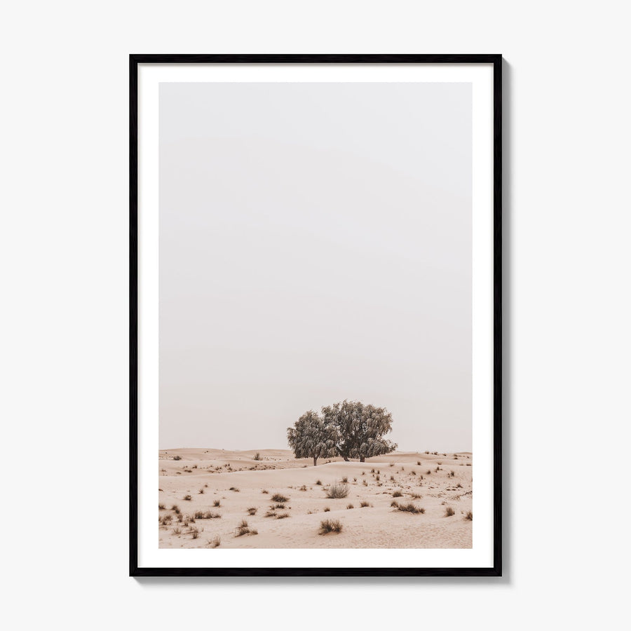 Acacia Tree Photo No 2 Poster, framed poster mockup, white border