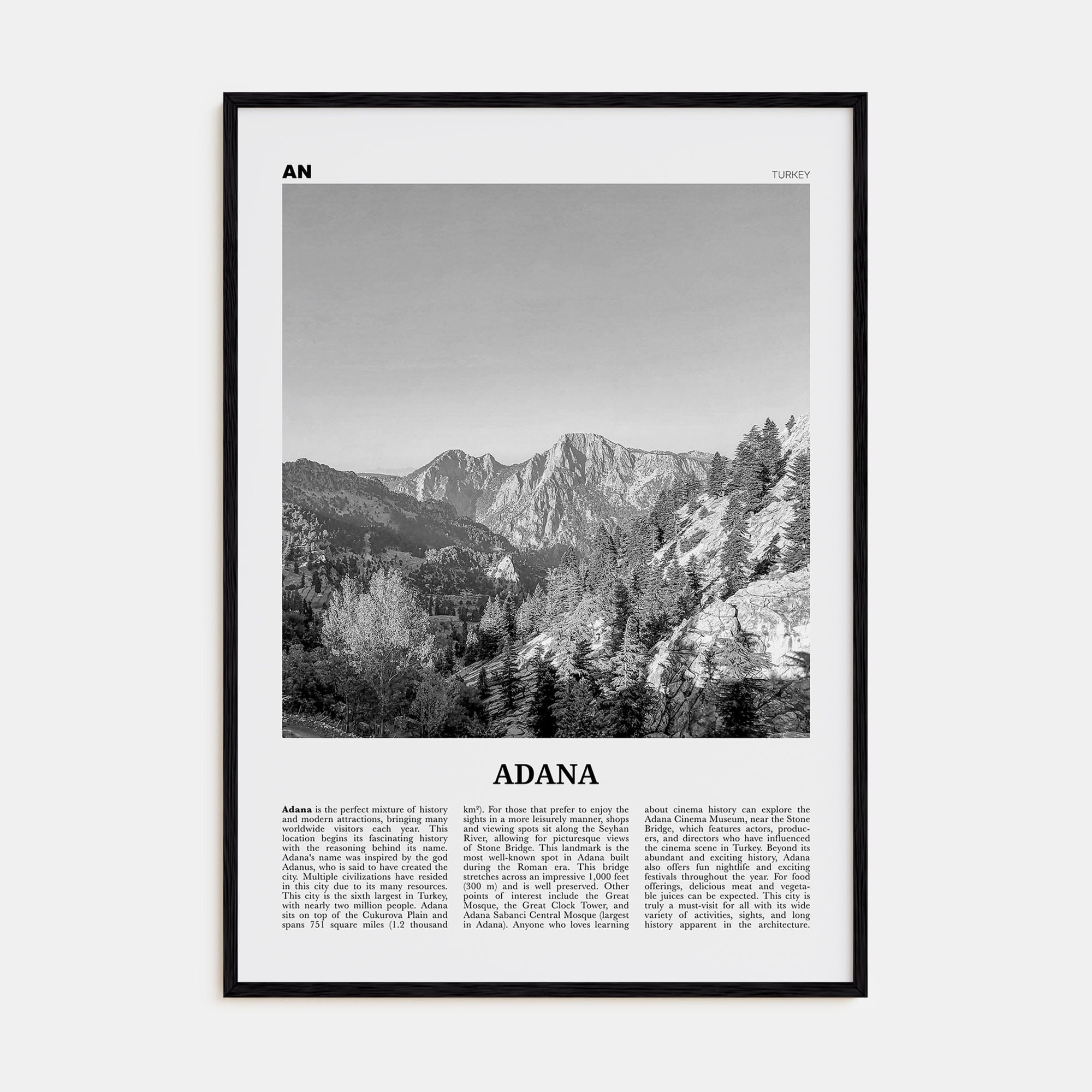 Adana Poster Black Wood / 8x12 in Nbourhood Travel B&W Poster