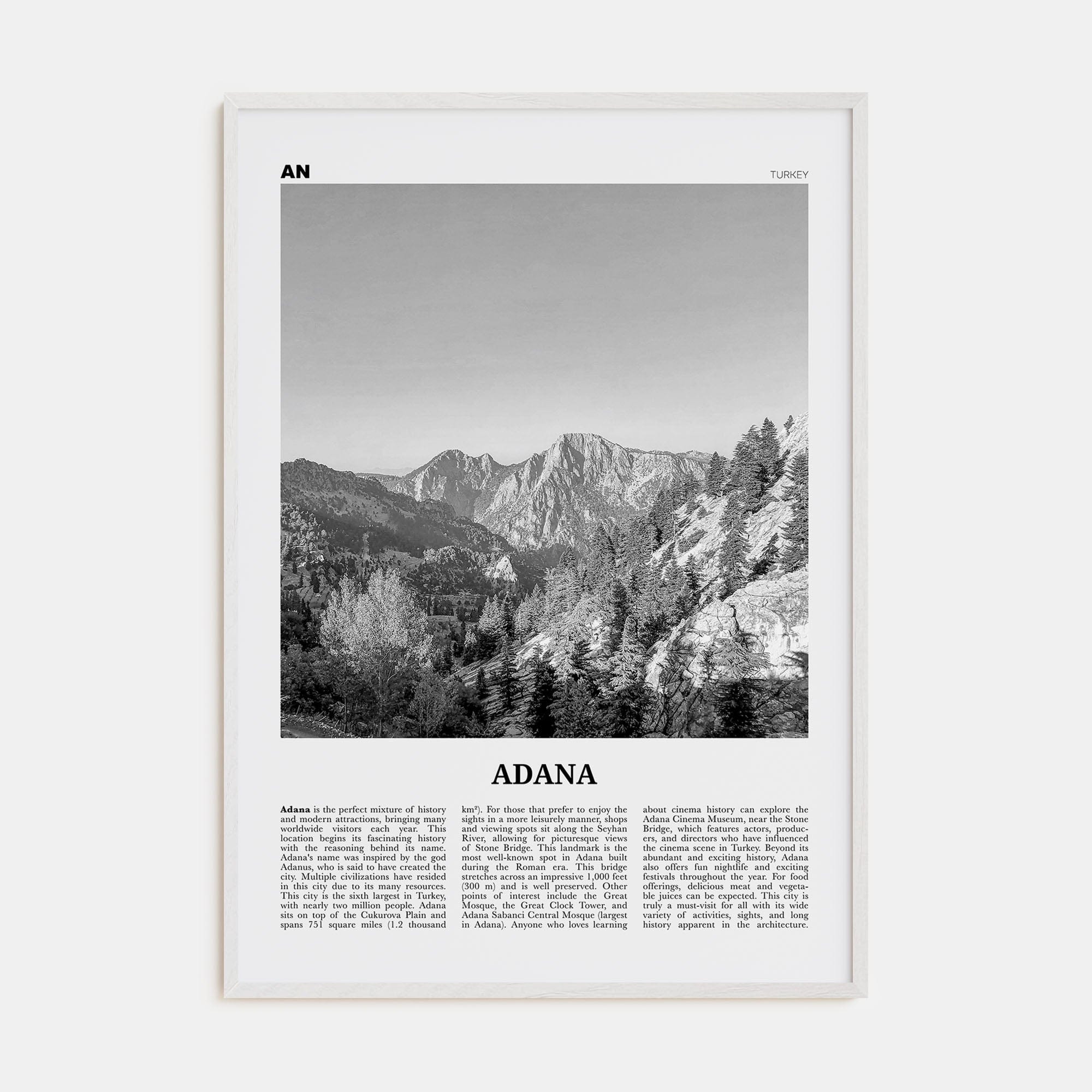 Adana Poster White Wood / 8x12 in Nbourhood Travel B&W Poster