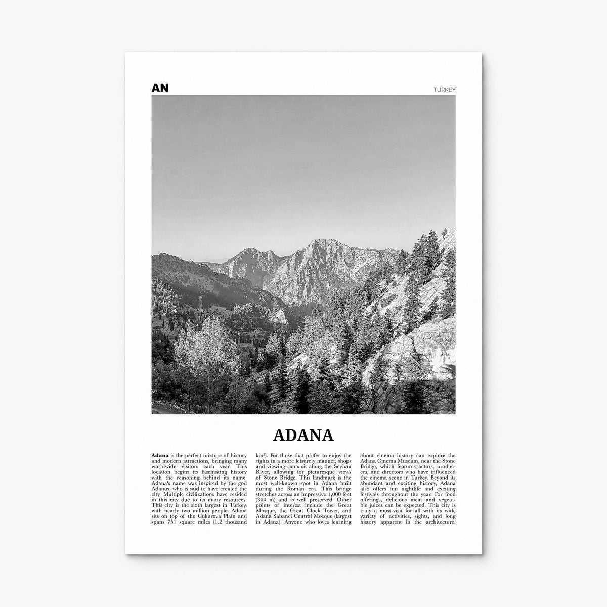 Adana Newspaper Poster, print only (unframed)