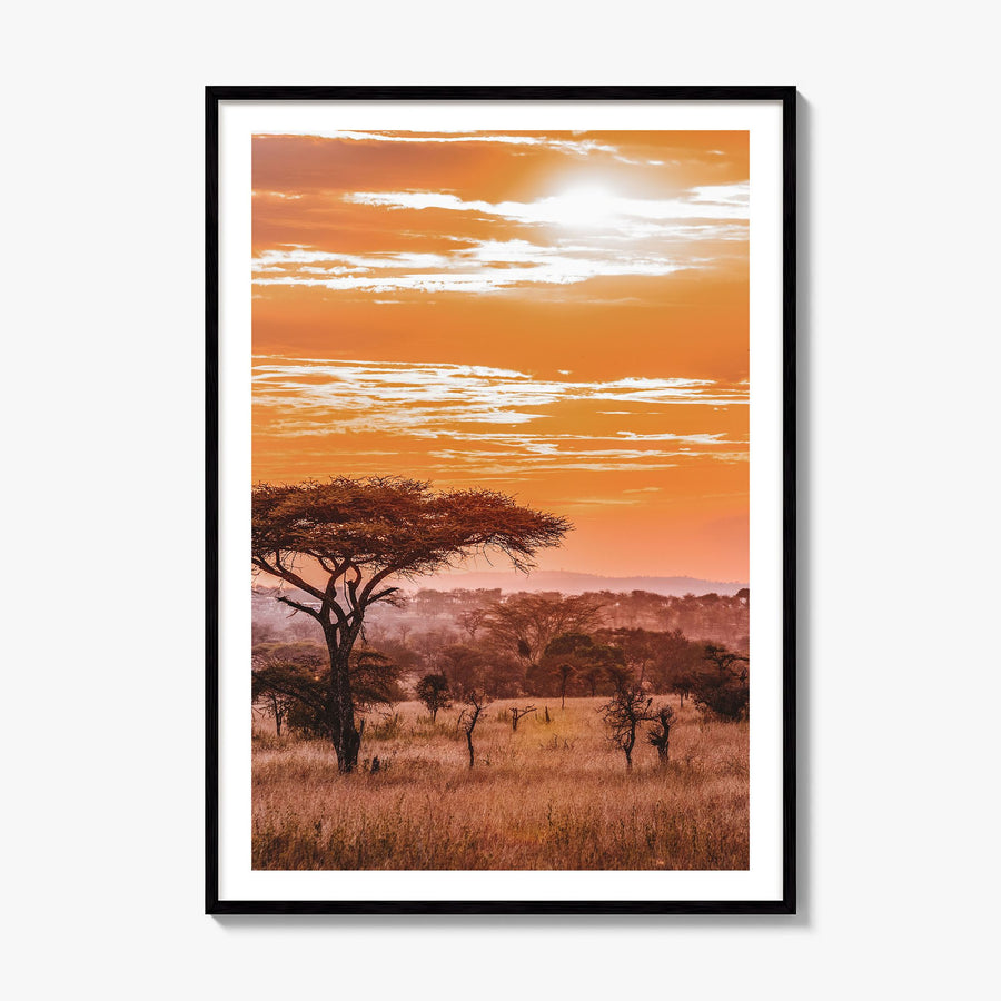 Africa Photo Poster, framed poster mockup, white border