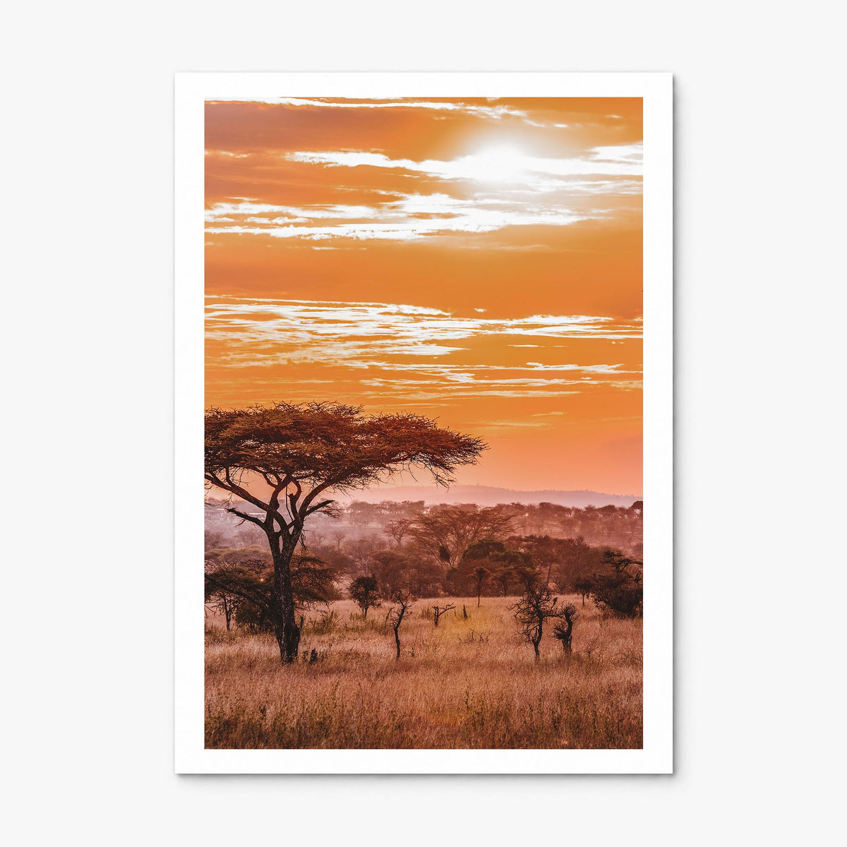 Africa Photo Poster, print only (unframed), white border