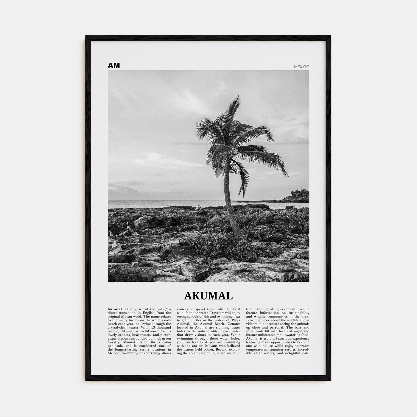 Akumal Poster Black Wood / 8x12 in Nbourhood Travel B&W Poster