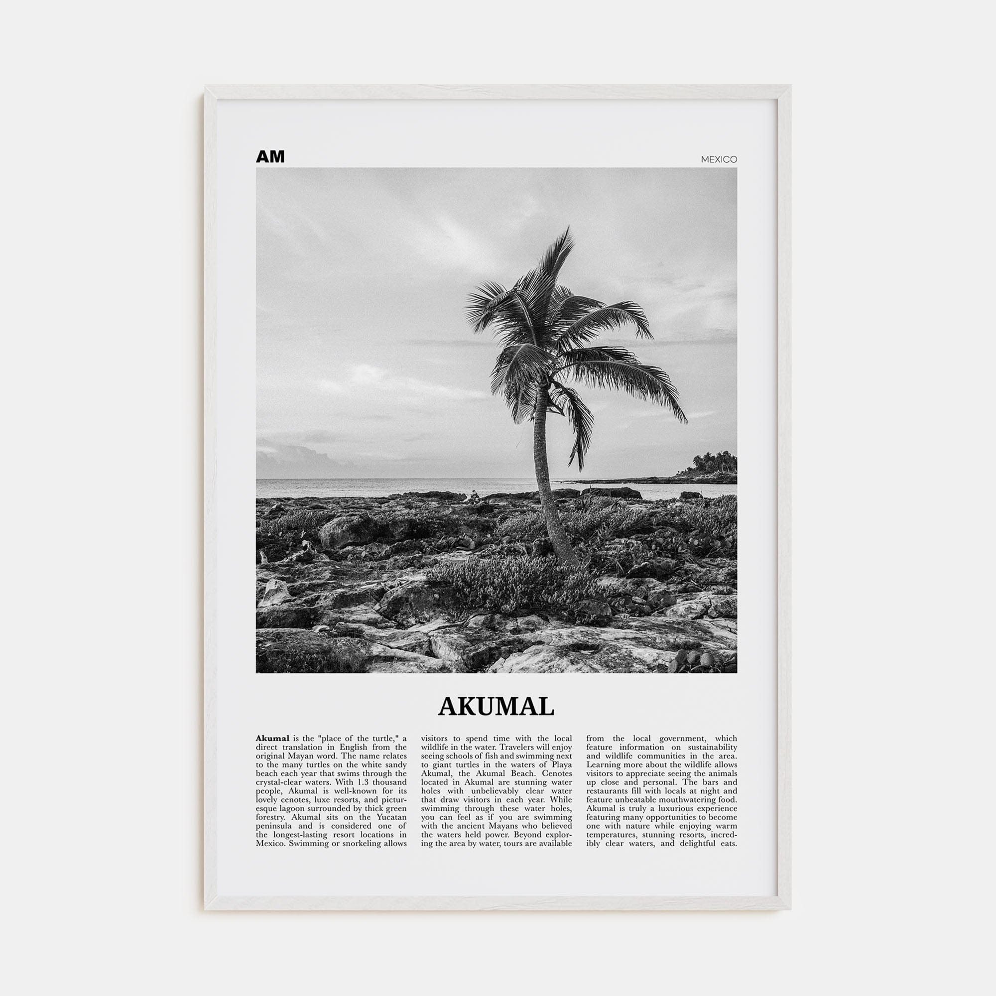 Akumal Poster White Wood / 8x12 in Nbourhood Travel B&W Poster