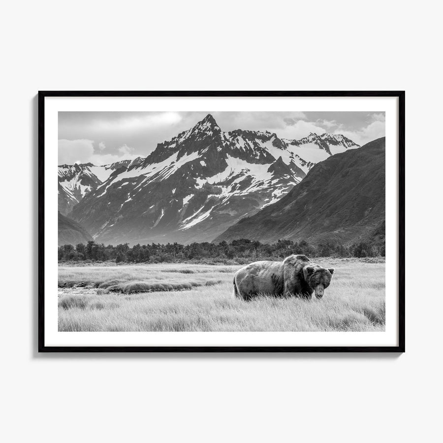 Alaska Photo Poster, framed poster mockup, white border