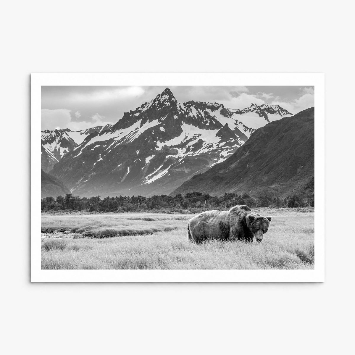Alaska Photo Poster, print only (unframed), white border