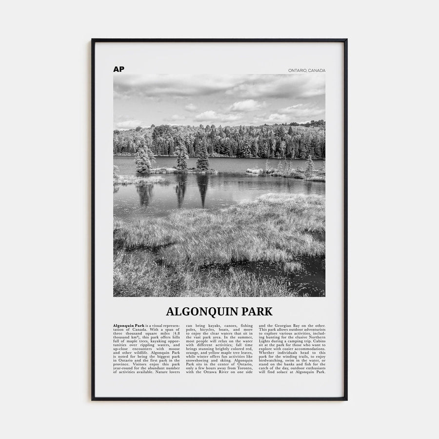 Algonquin Park Poster None / 8x12 in Nbourhood Travel B&W Poster