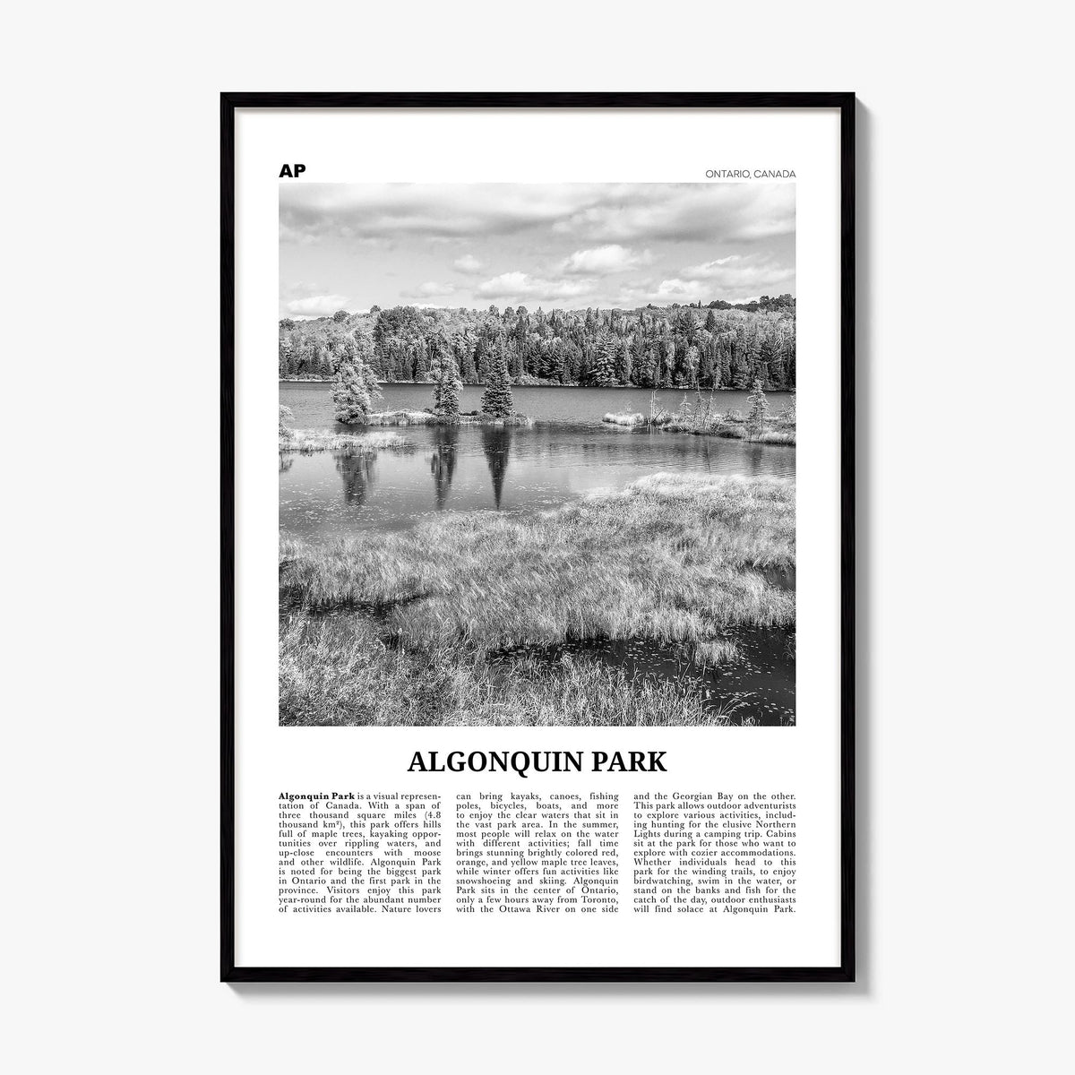 Algonquin Park Newspaper Poster, framed poster mockup