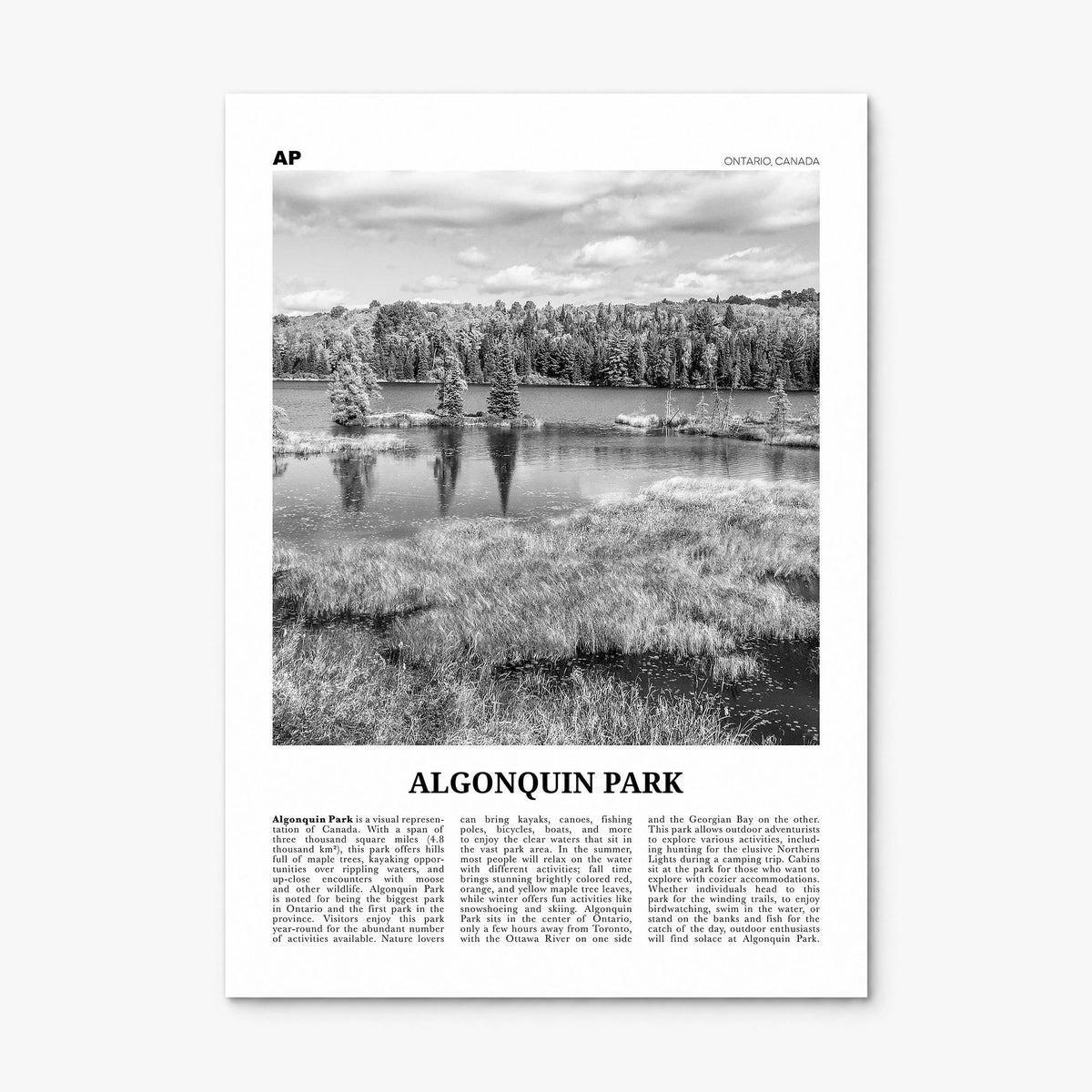 Algonquin Park Newspaper Poster, print only (unframed)