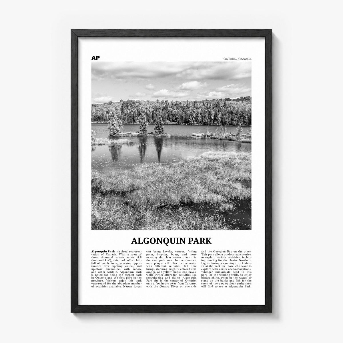 Algonquin Park Newspaper Poster in a black wood frame