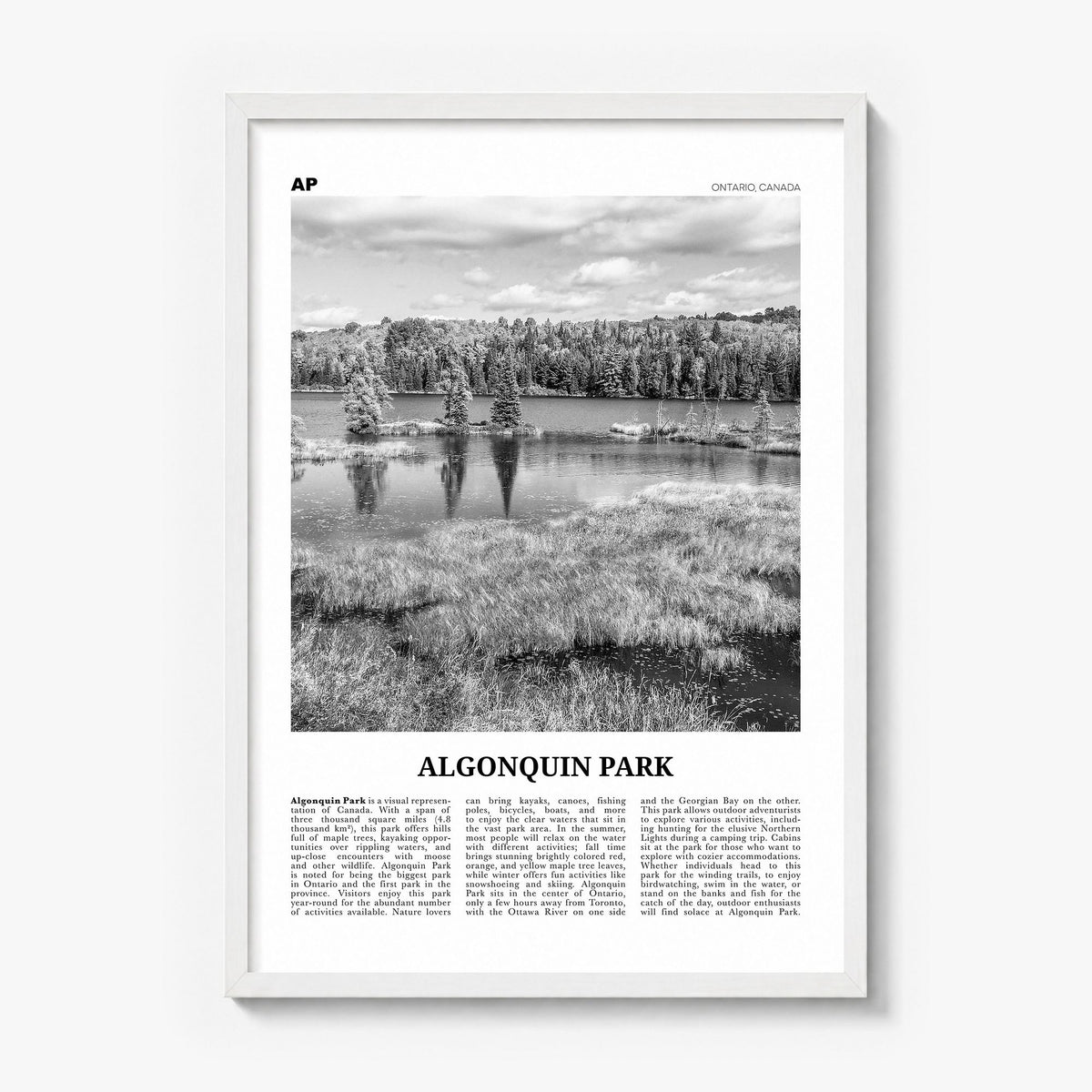 Algonquin Park Newspaper Poster in a white wood frame