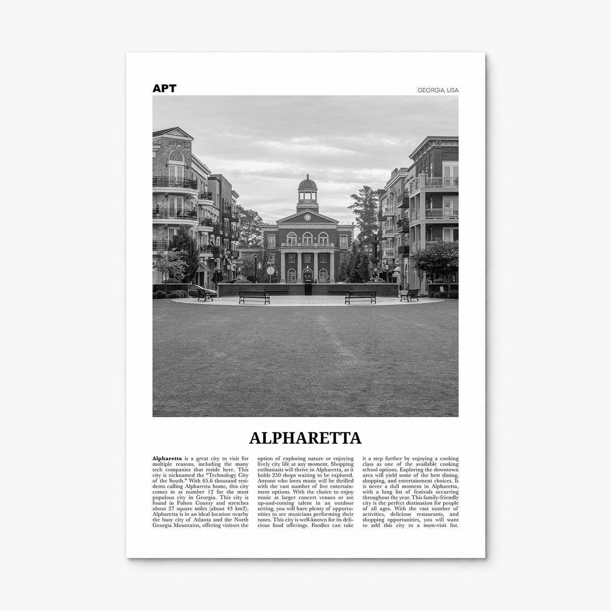 Alpharetta Newspaper Poster, print only (unframed)