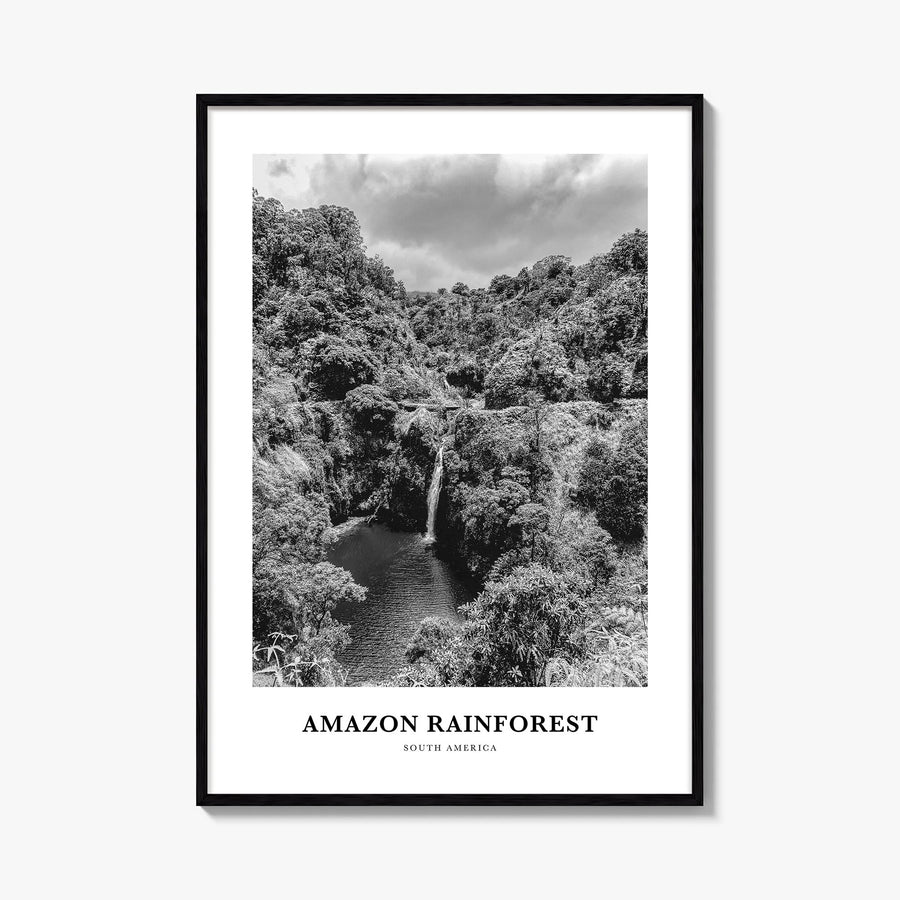 Amazon Rainforest black & white classic poster of South America – vertical wall art, unframed print shown in interior mockup
