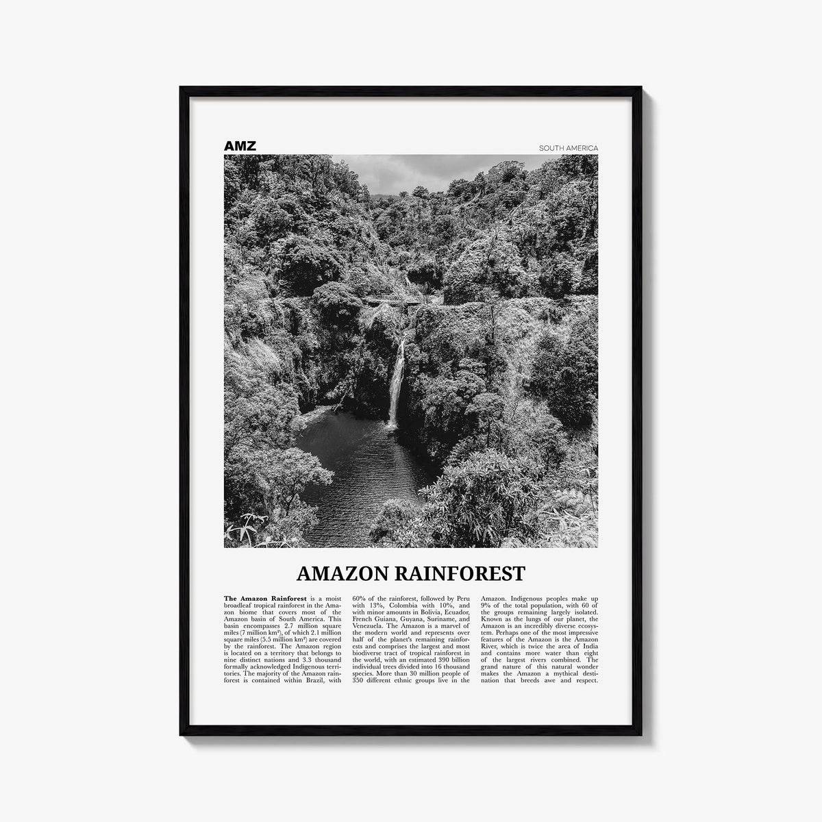 Amazon Rainforest black & white newspaper poster of South America – vertical wall art, unframed print shown in interior mocku