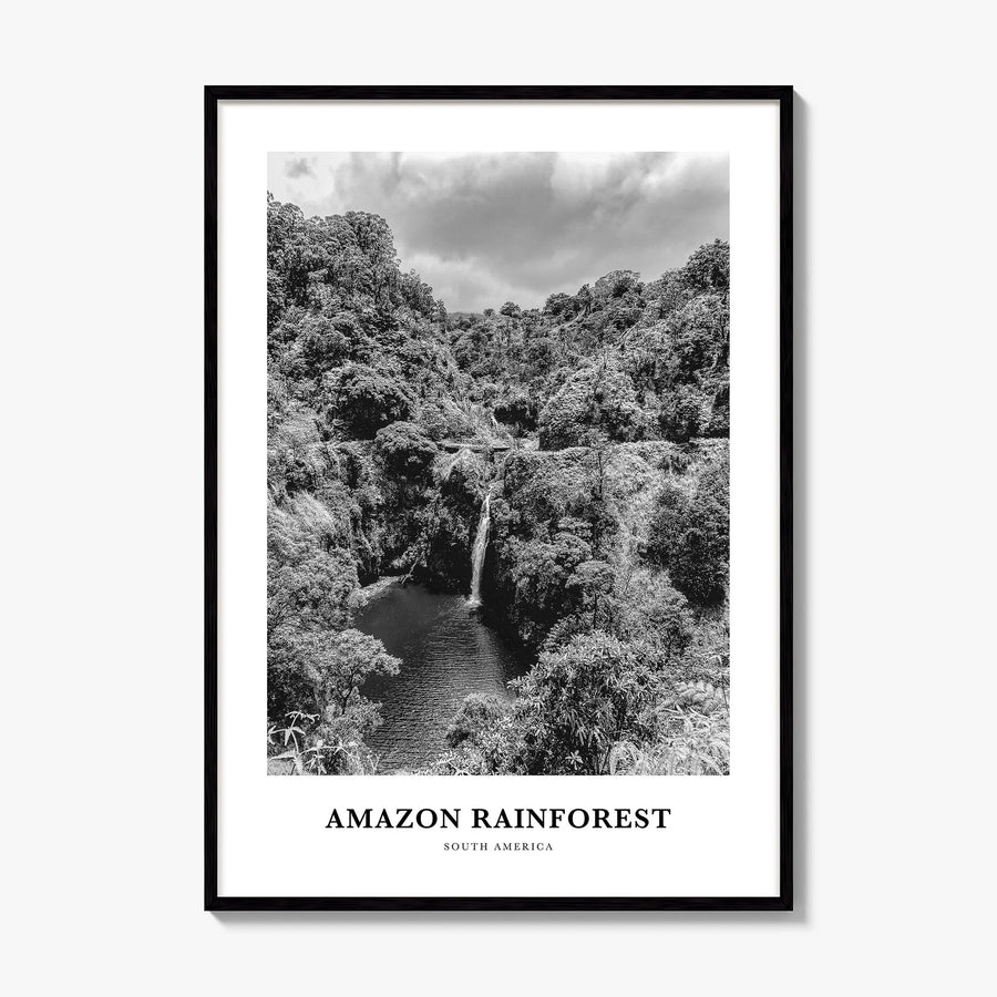 Amazon Rainforest Classic Poster, framed poster mockup