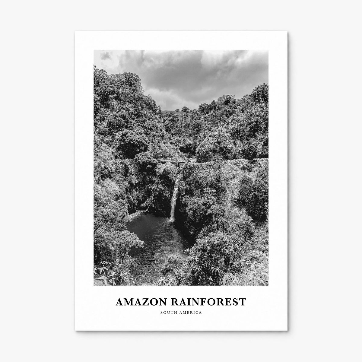 Amazon Rainforest Classic Poster, print only (unframed)