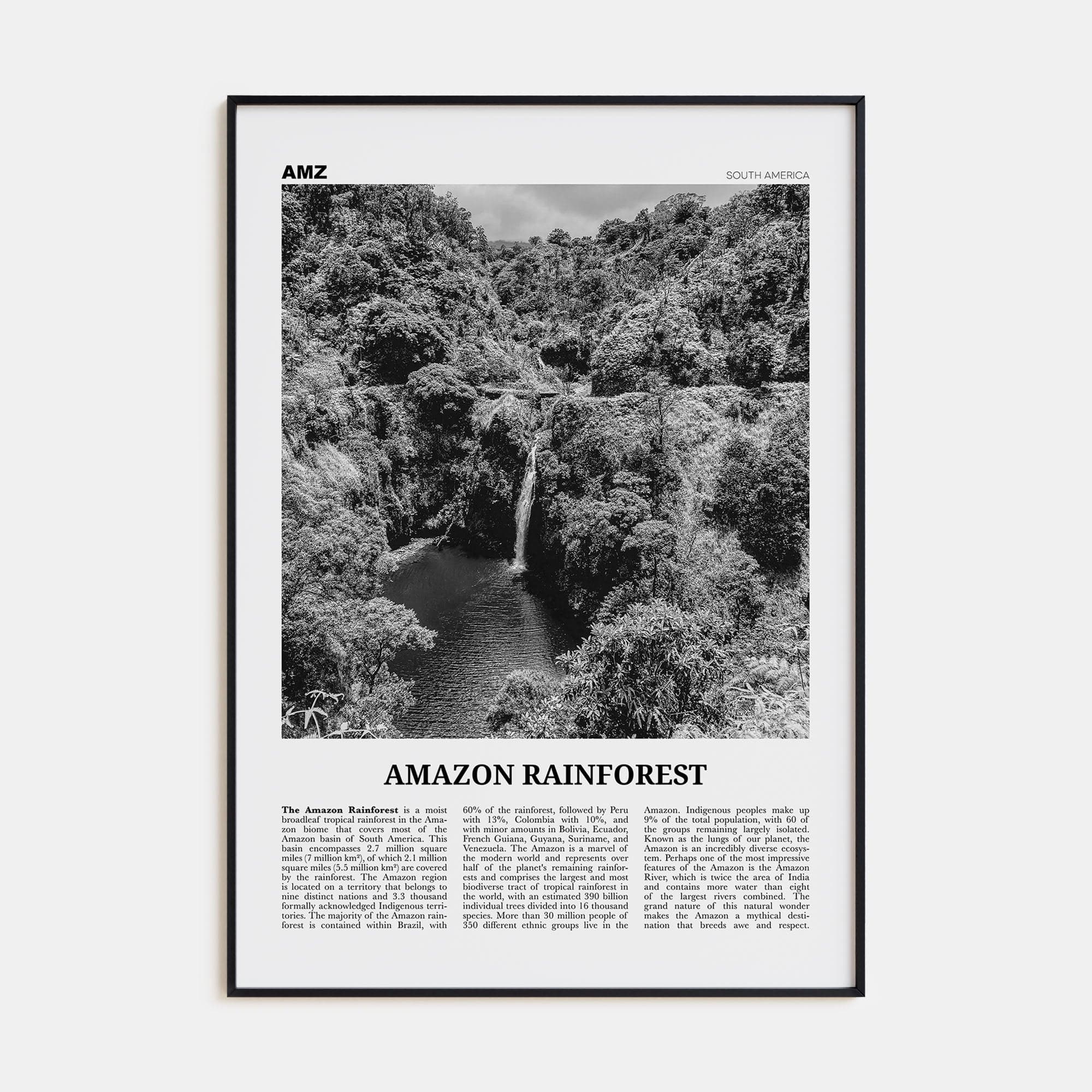 Amazon Rainforest Poster None / 8x12 in Nbourhood Travel B&W Poster