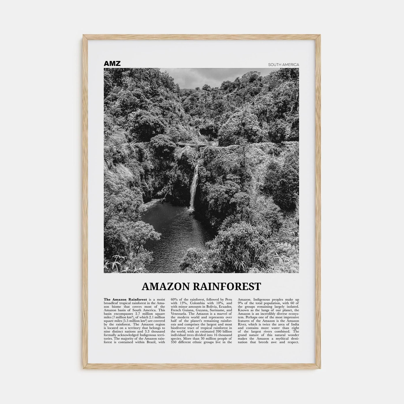 Amazon Rainforest Poster Natural Wood / 8x12 in Nbourhood Travel B&W Poster